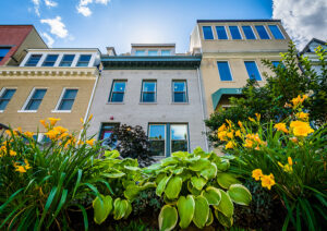 Colorful buildings in Adams Morgan neighborhood